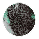 Rapid Contamination Detection
