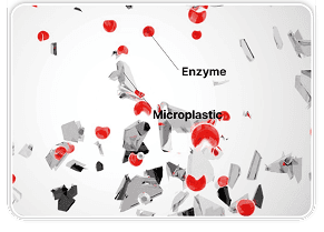 Enzymatic Degradation