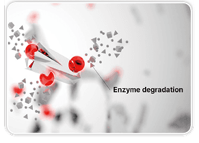 Formation of Degradation Product