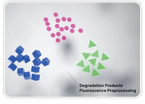Fluorescence Induction
